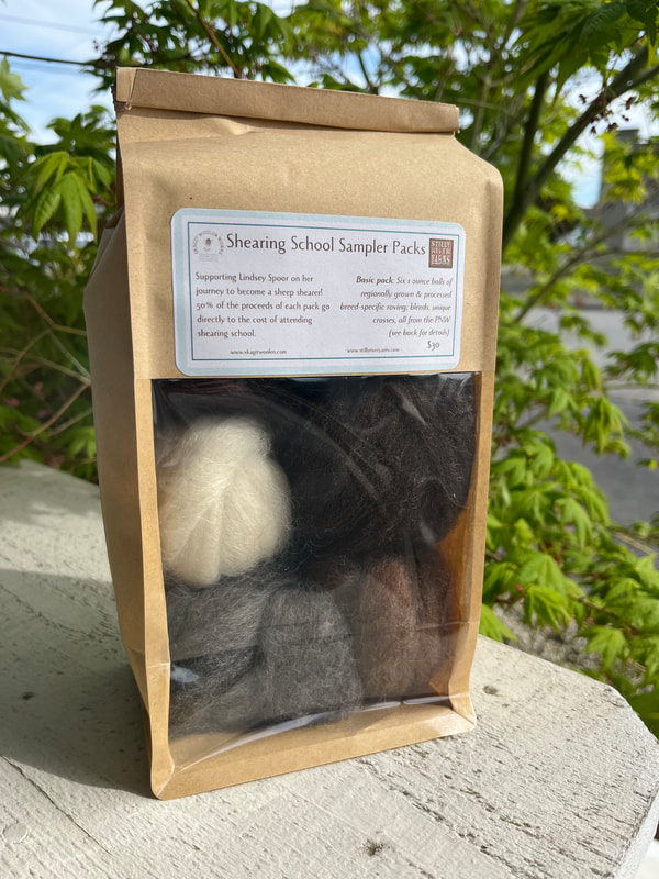A paper bag with a clear plastic front window is set on a wooden porch beam painted cream. Small balls of wool are visible through the plastic window - one is off white, one is brown-black, one is medium gray, and one is a tawny brown. In the background, a maple tree has started to leaf out. The bag is labeled "Shearing School Sampler Packs." 